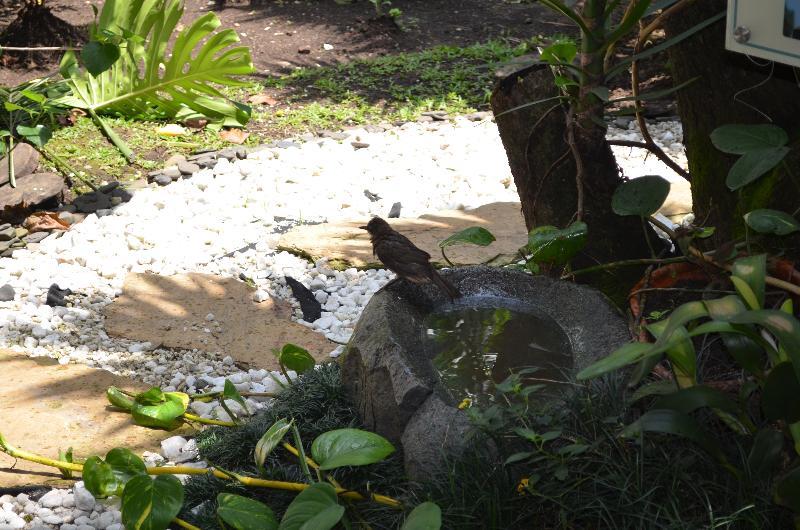 Hotel Aromax Del Campestre Medellín Exteriér fotografie